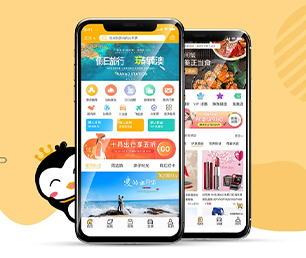 北京手机网站开发社群电商系统为你的品牌带来独特性和竞争力【特价疯抢，别错过】
